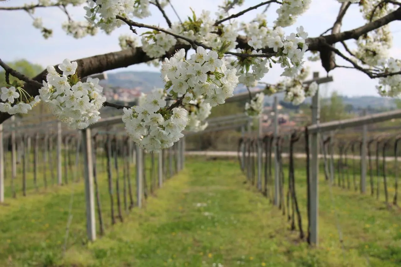 Bed & Breakfast B&B Campagnon Valpolicella SantʼAmbrogio di Valpolicella Italien
