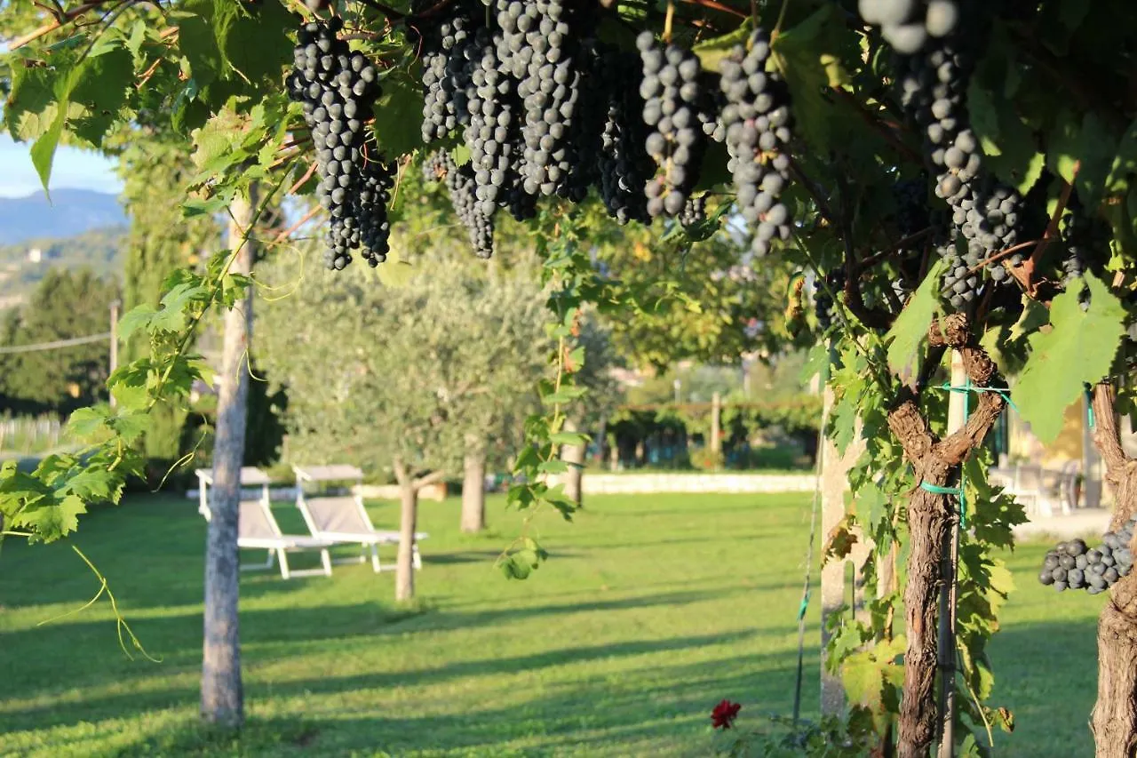 Bed and Breakfast B&B Campagnon Valpolicella SantʼAmbrogio di Valpolicella